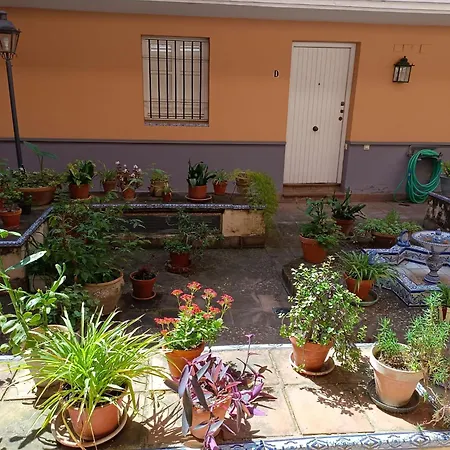 San Bernardo 15